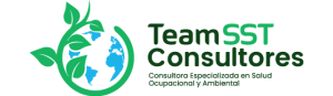 Team SST Consultores